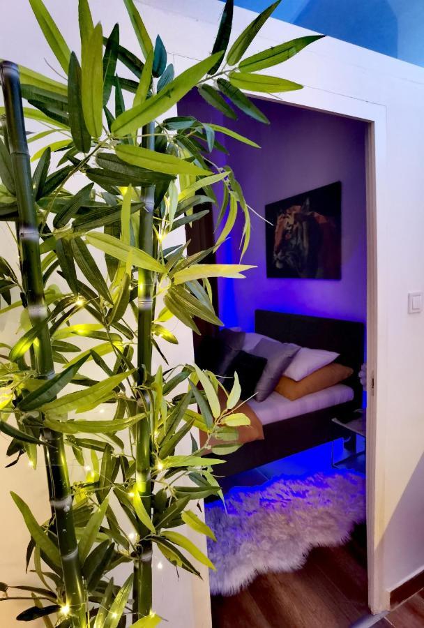 Apartmán Dolce Vita Supremier Budapešť Exteriér fotografie